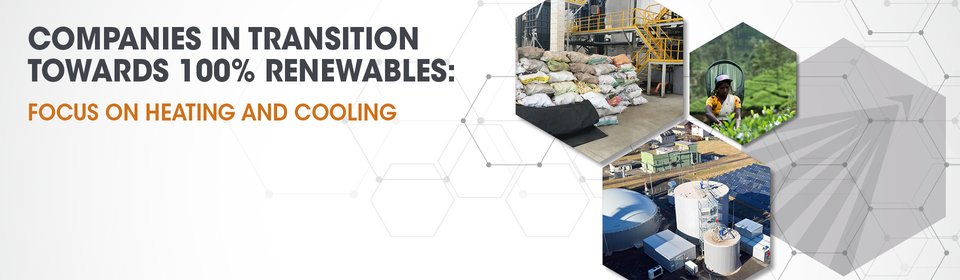 Coalition White Pape_banner