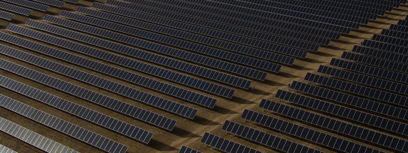 Field of solar panels