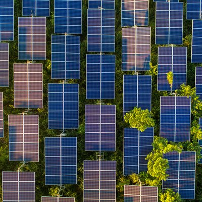 Aerial view of field with vegetation peeking around some panels