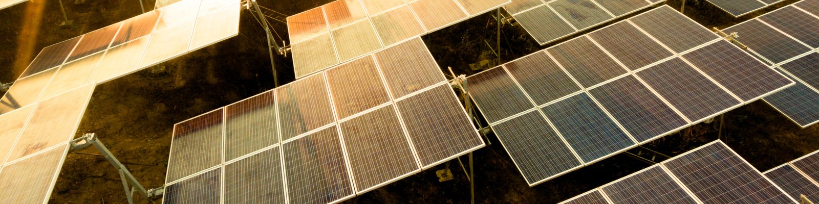 Large array field reflecting low sunlight