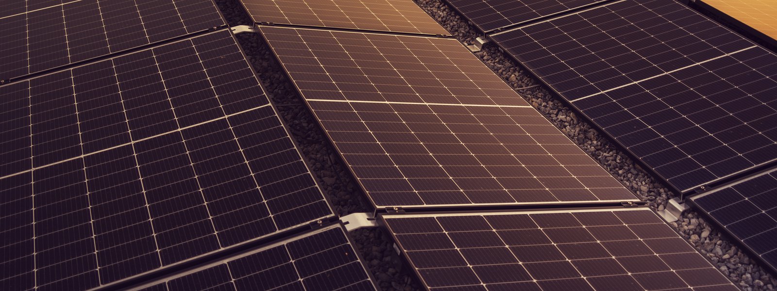 Closeup of solar panels reflecting sunrise or sunset