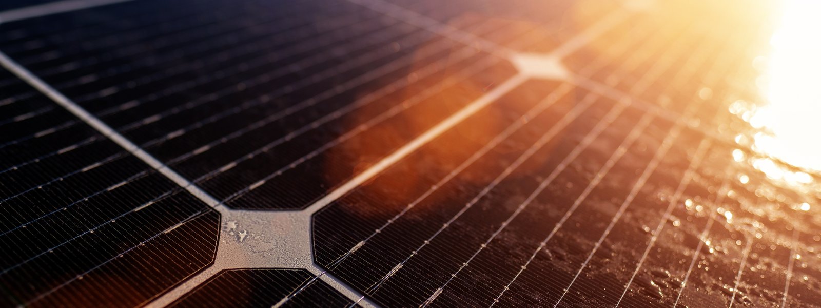 Solar cell, closeup, sunlight, lens flare