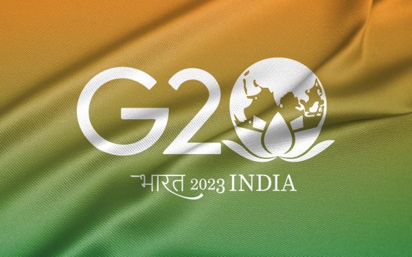 G20 logo